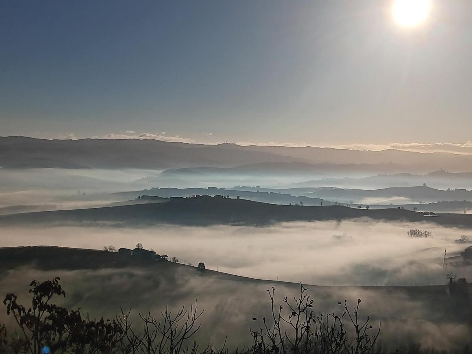 La Vigna Del Parroco Daire Verduno Dış mekan fotoğraf