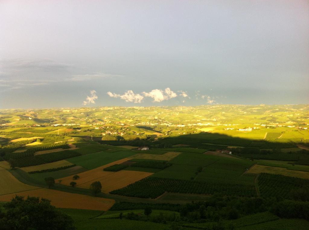 La Vigna Del Parroco Daire Verduno Oda fotoğraf