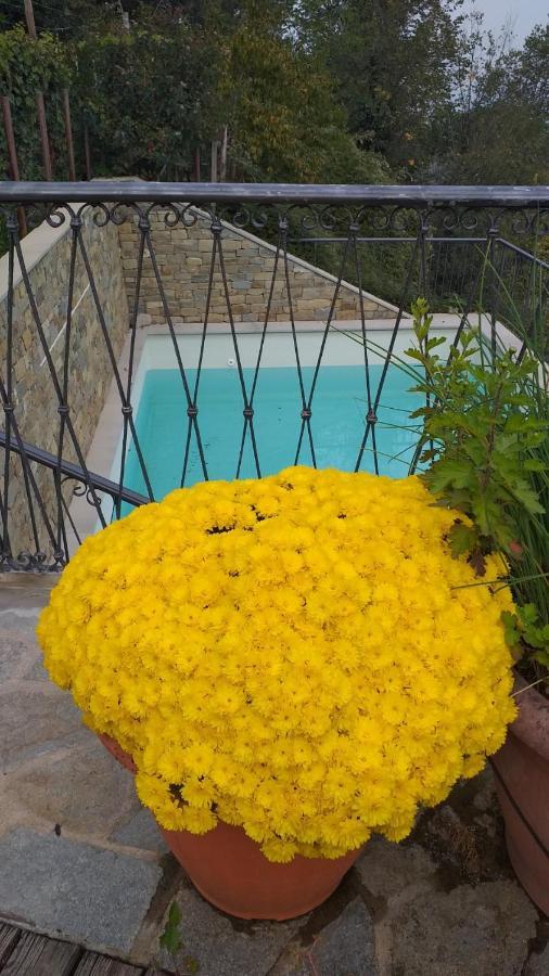 La Vigna Del Parroco Daire Verduno Dış mekan fotoğraf